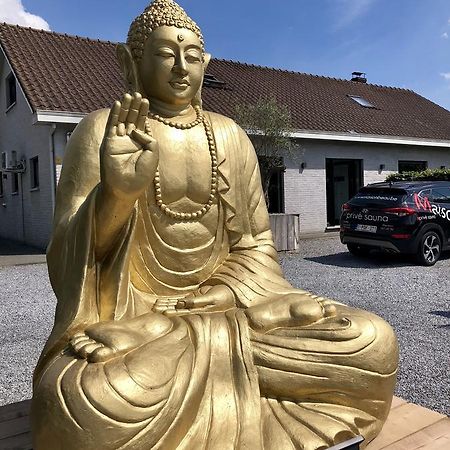 Zonhoven Maison Beau Bed & Breakfast エクステリア 写真