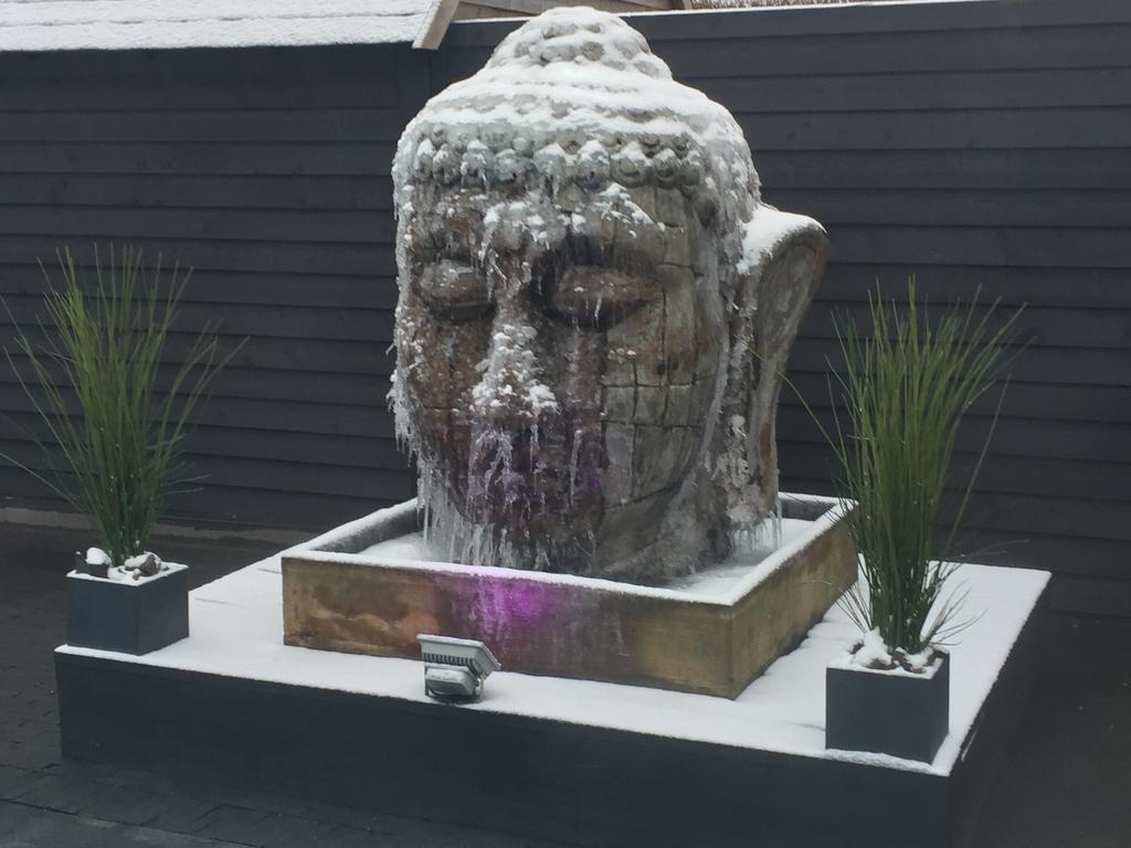 Zonhoven Maison Beau Bed & Breakfast エクステリア 写真
